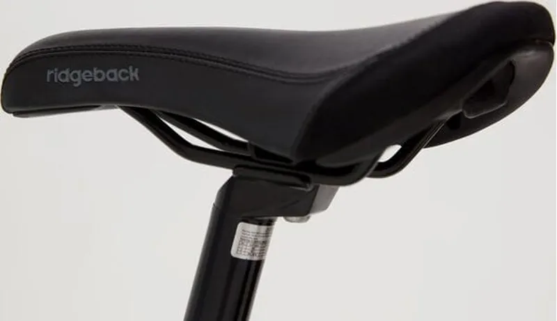 Ridgeback Harmony 20 Kids Bike in Green-6